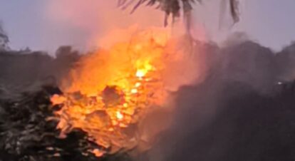 Kebakaran hutan