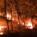 Hutan Blondo Paliyan Gunungkidul Terbakar