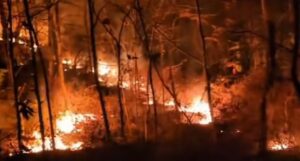Hutan Blondo Paliyan Gunungkidul Terbakar