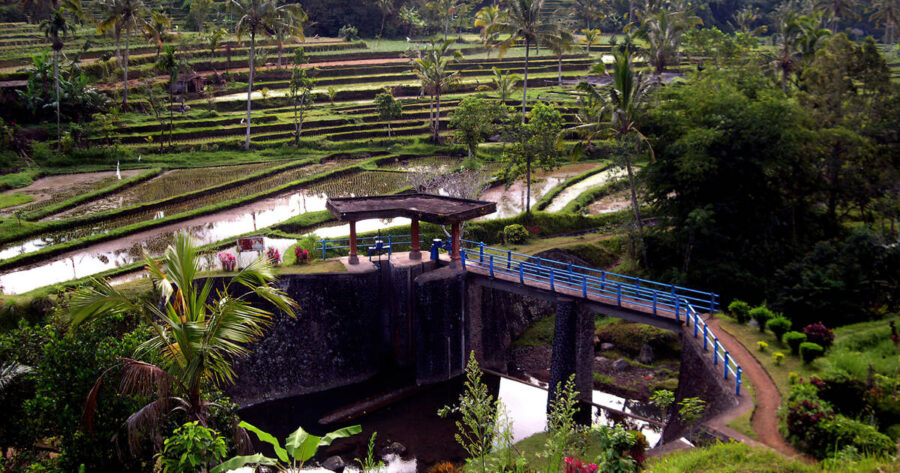 Site11940006120063020230113154956 catrawarta Subak bali telah lama menerapkan mekanisme distribusi air secara bergilir